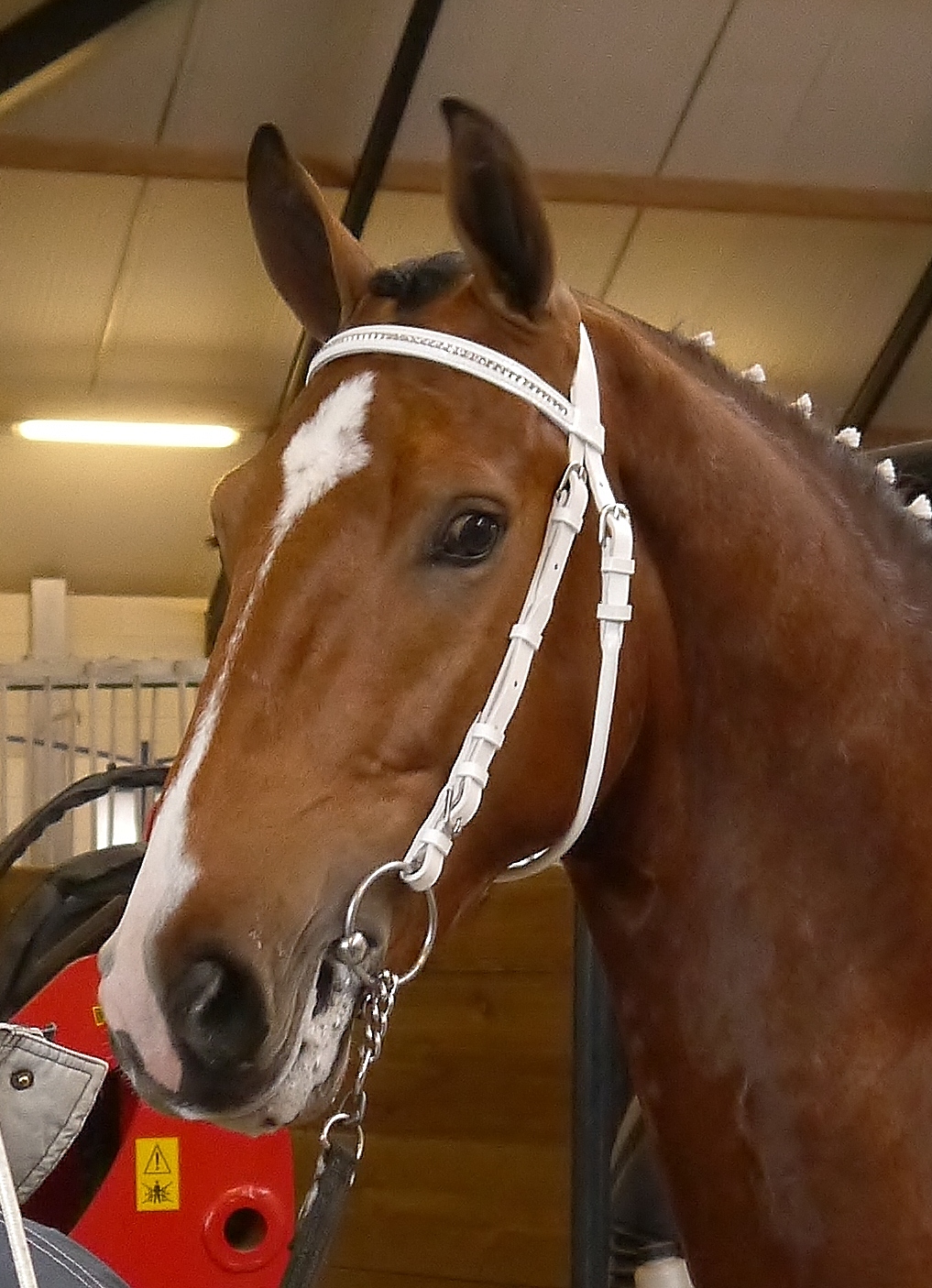 Aanlevering Ver onderzoek 2014 041