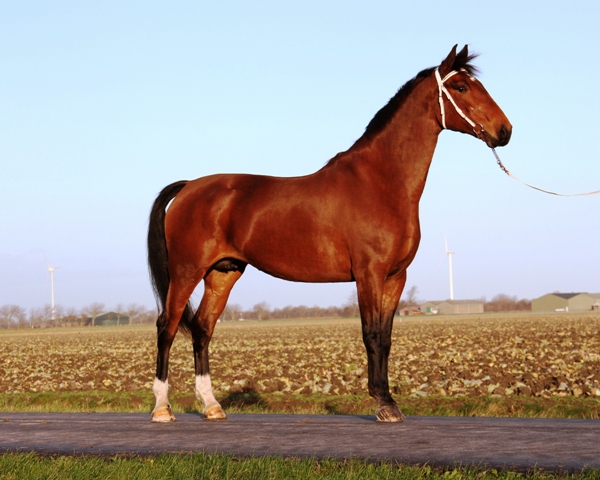 Dilvia. v. Unieko 11-2013 113